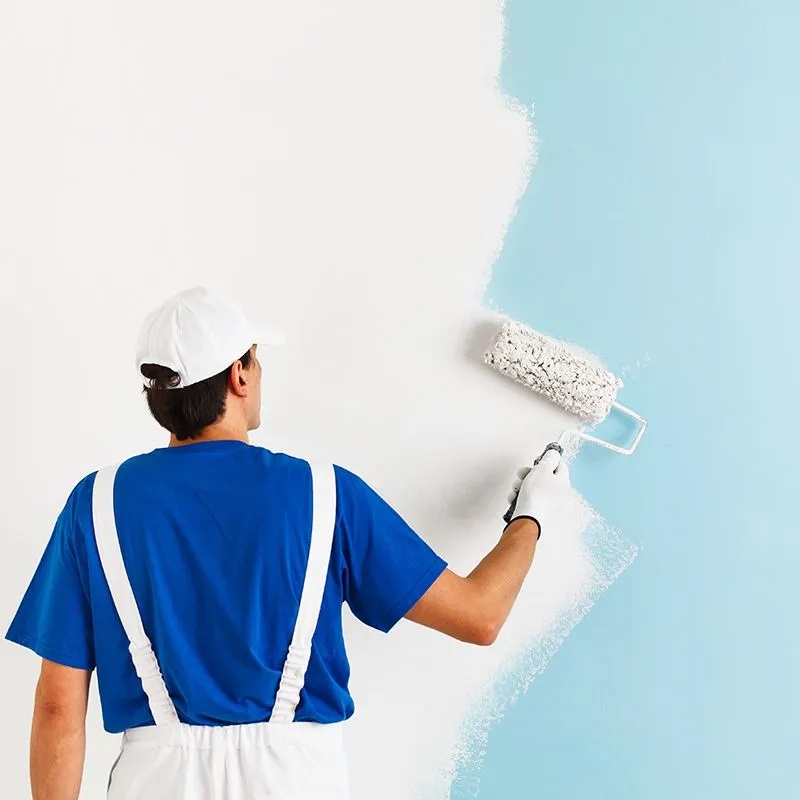 Çamdibi iç cephe boyama